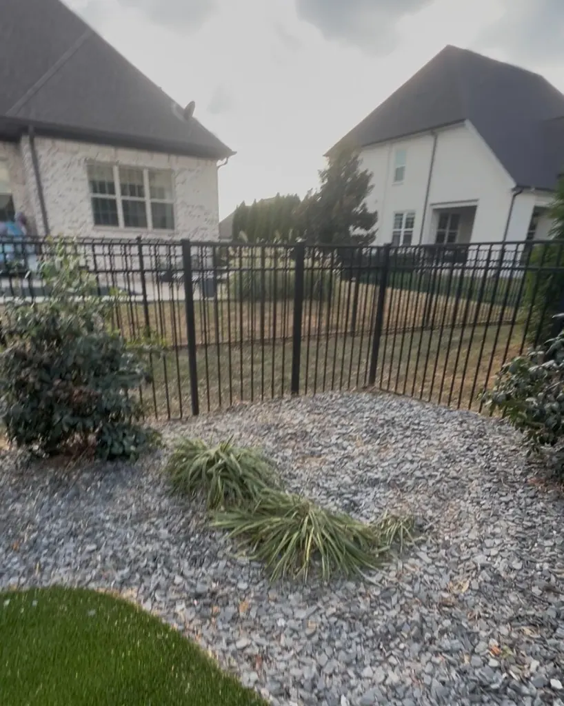 Existing azalea dug for relocation in a decorative rock bed in Spring Hill, Tennessee