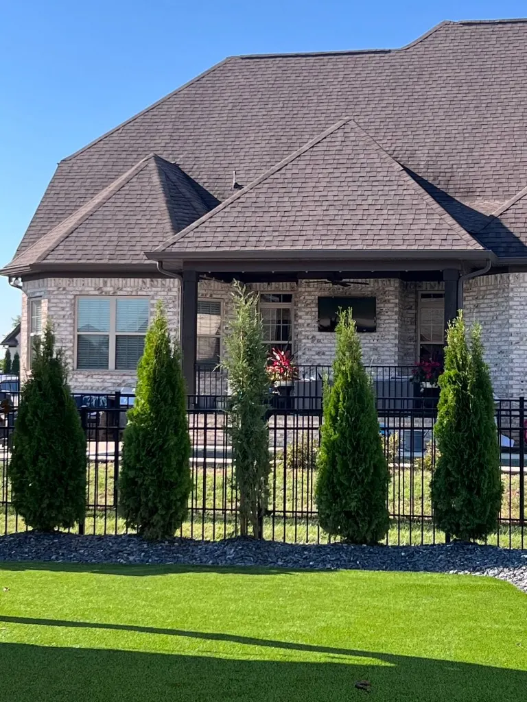 Finished row of North Pole Arborvitaes and a Taylor Juniper in a Spring Hill, Tennessee backyard