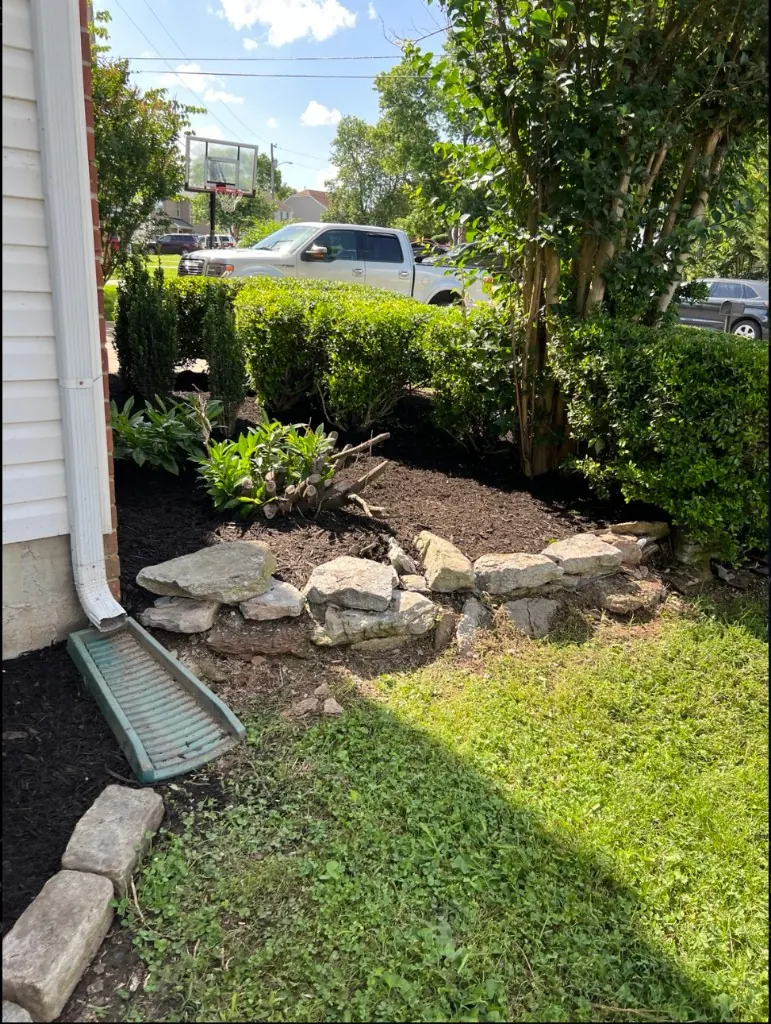 Cleaned landscape bed with fresh black mulch in Spring Hill, Tennessee