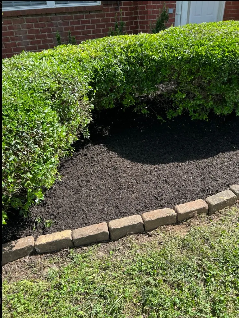 Landscape bed after cleanup and black mulch installation in Spring Hill, Tennessee
