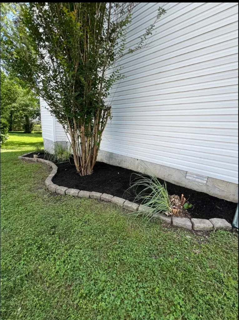 Finished black mulch landscape bed around a mature tree in Spring Hill, Tennessee