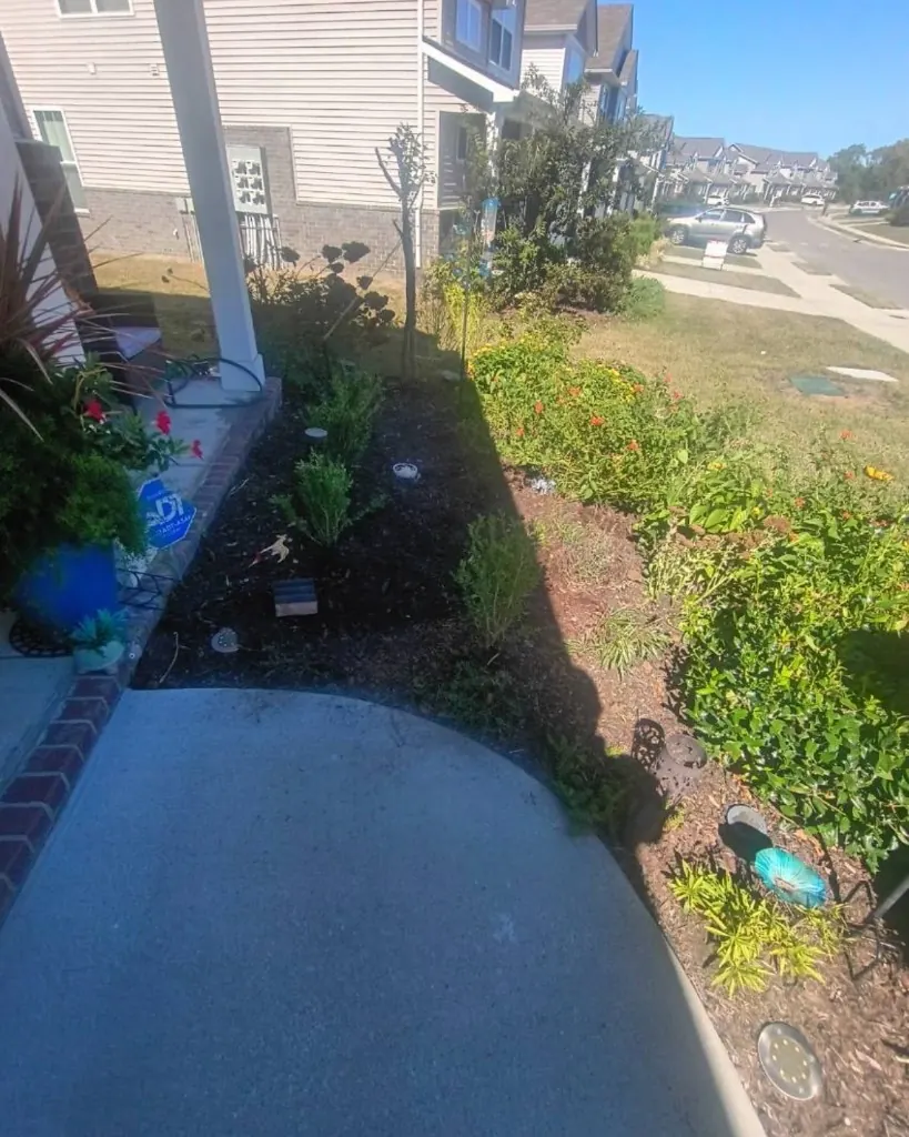 Closer view of the existing front landscape bed before unwanted plants were removed in Spring Hill, Tennessee