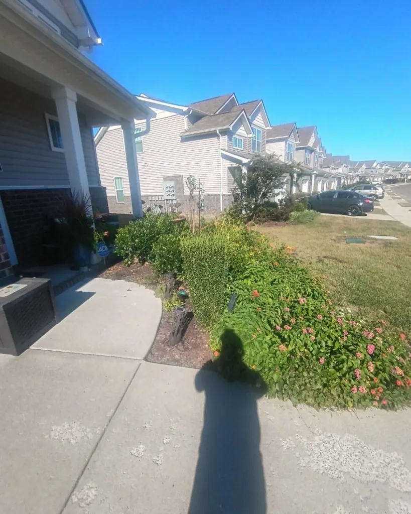 Front landscape bed after unwanted plants were removed and boxwood shrubs were installed in Spring Hill, Tennessee