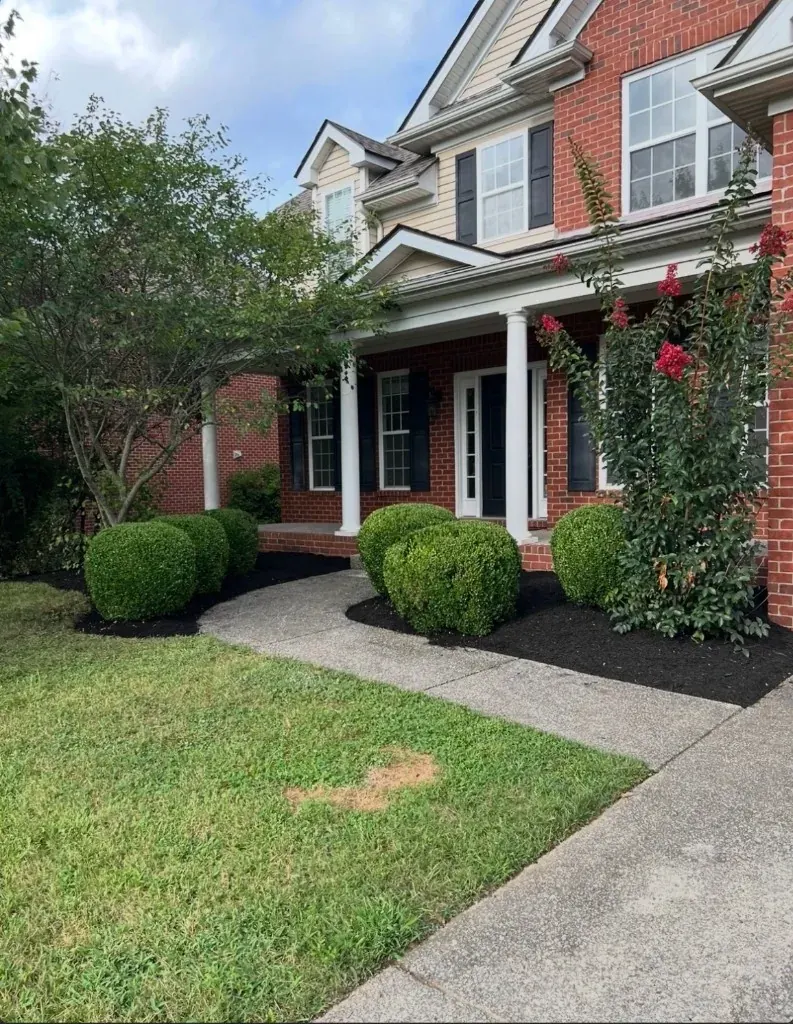 Front landscape beds with fresh dark mulch after installation in Spring Hill, Tennessee