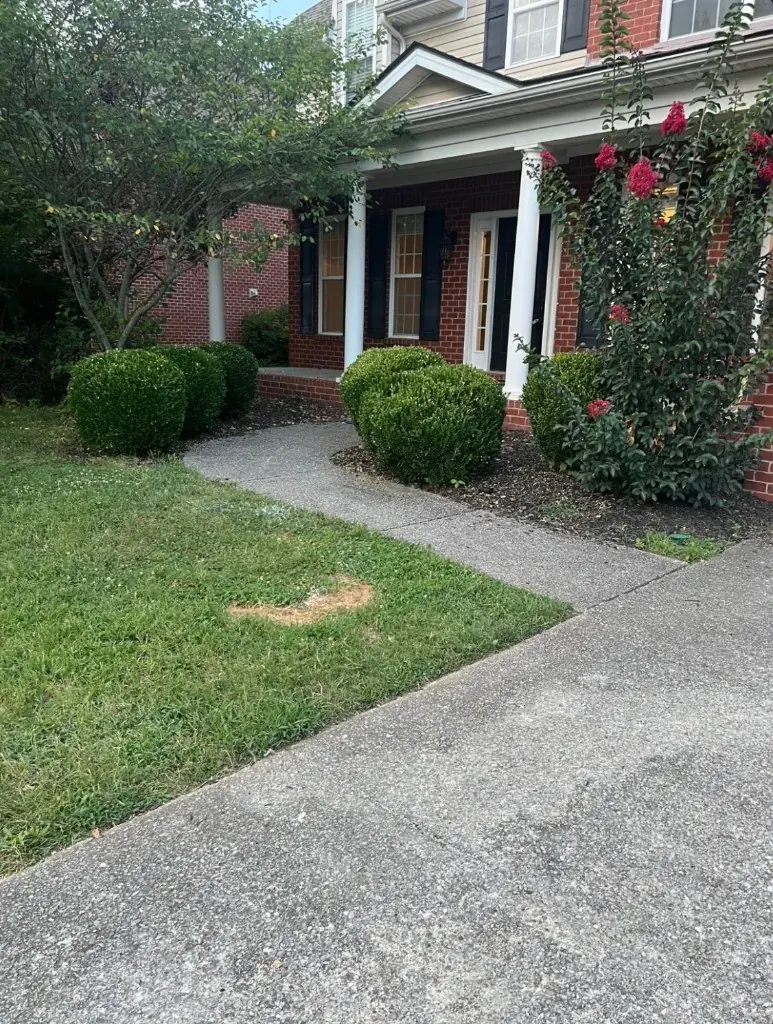 Front landscape beds with thin faded mulch before refresh in Spring Hill, Tennessee