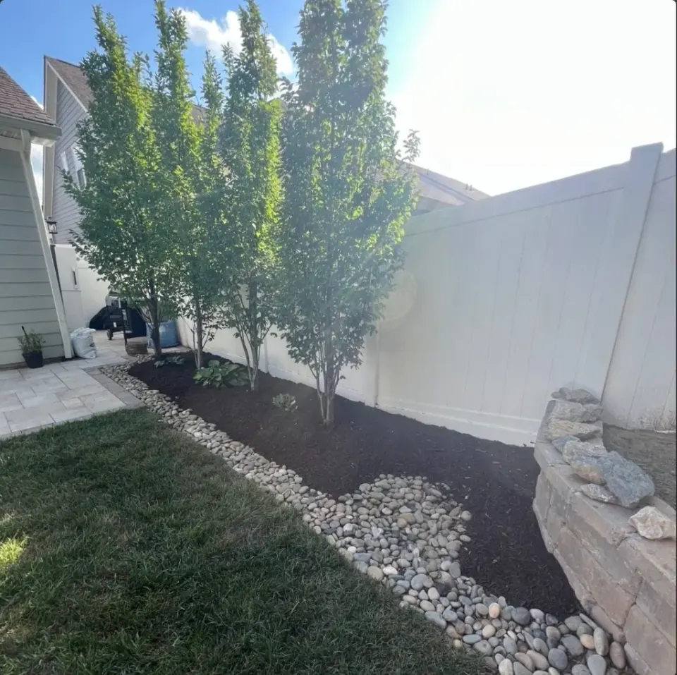 Backyard tree bed with fresh dark mulch after refresh in Spring Hill, Tennessee