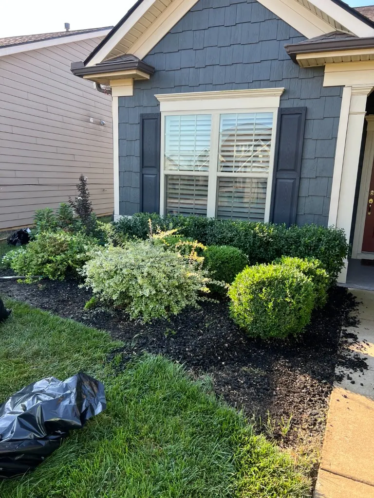 Before rubber mulch removal & pine straw installation in Spring Hill, TN, MRX Landscaping