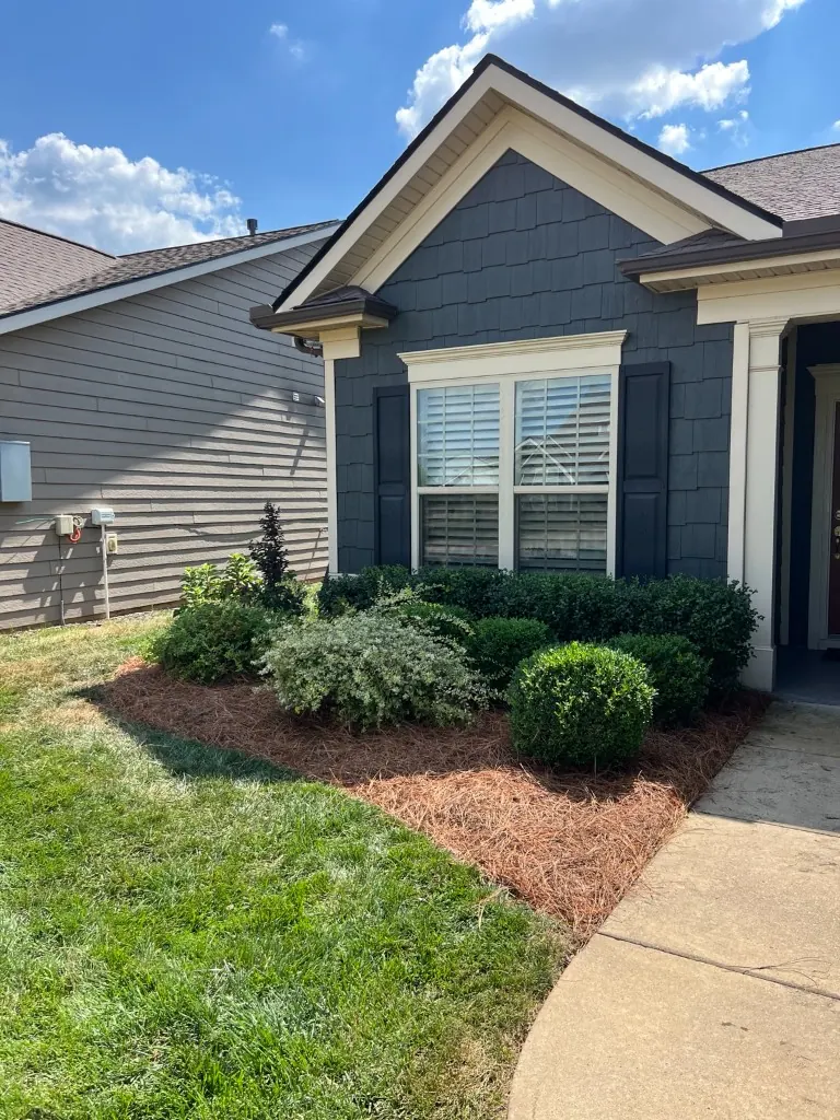 After rubber mulch removal & pine straw installation in Spring Hill, TN, MRX Landscaping