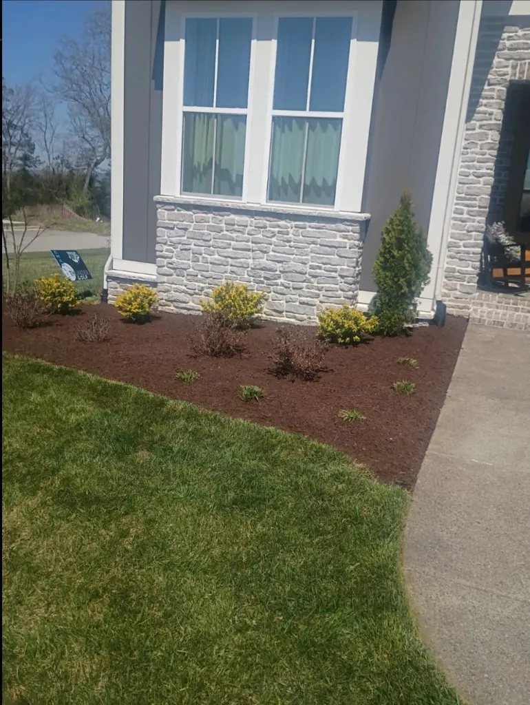 Landscape bed after cleanup and fresh mulch installation in Thompson's Station, Tennessee