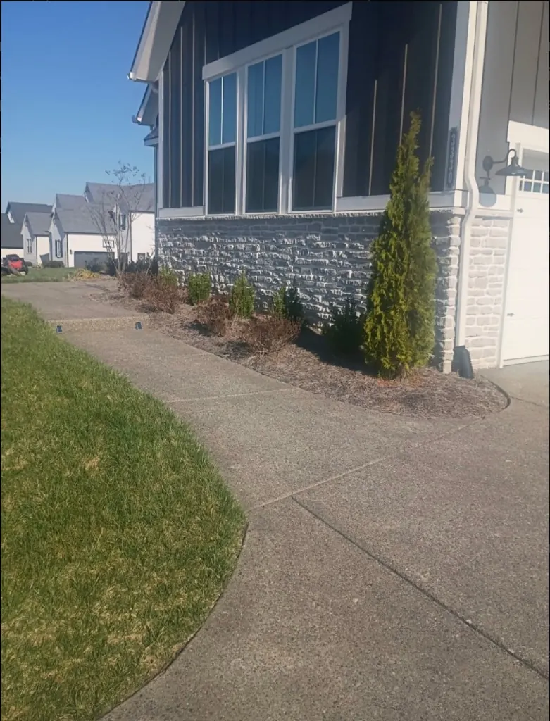 Front landscape bed before pine straw replacement in Thompson's Station, Tennessee