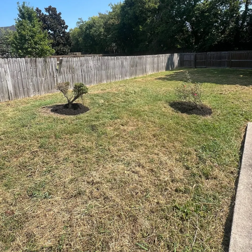 Backyard tree beds with black mulch after overgrowth cleanup in Thompson's Station, Tennessee