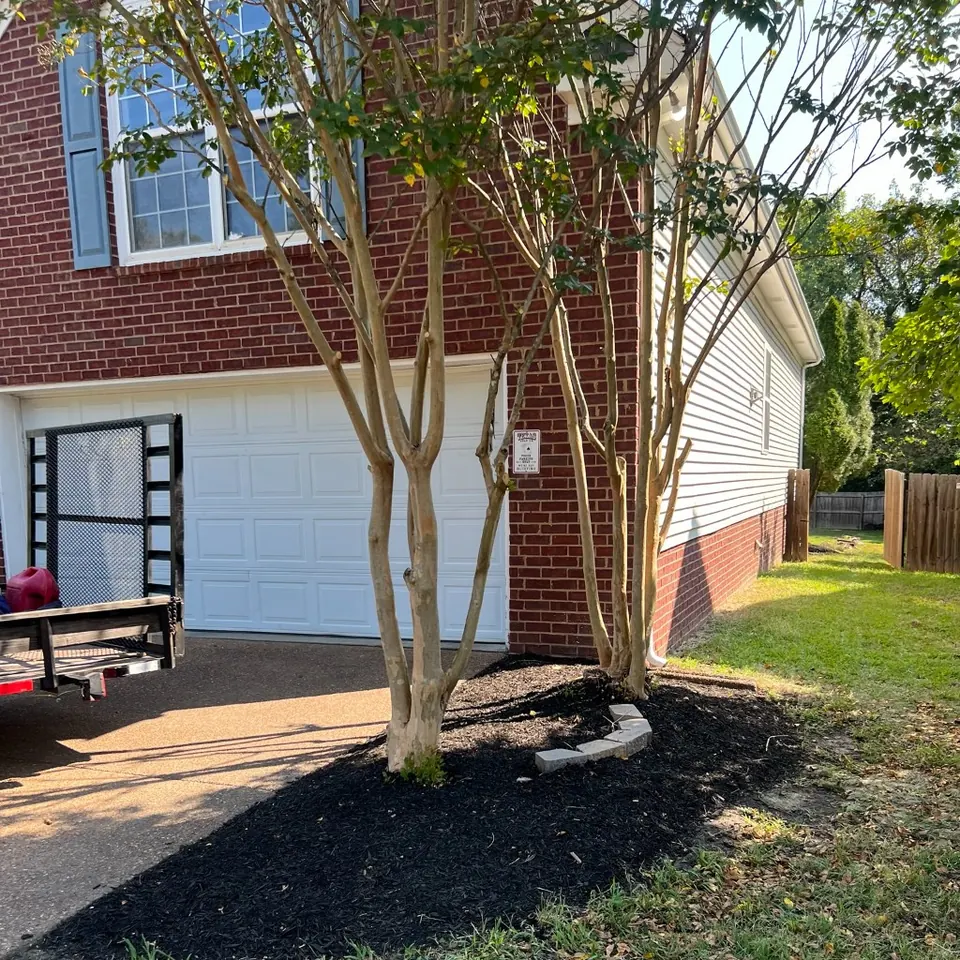 Driveway tree bed with fresh black mulch beside the garage in Thompson's Station, Tennessee
