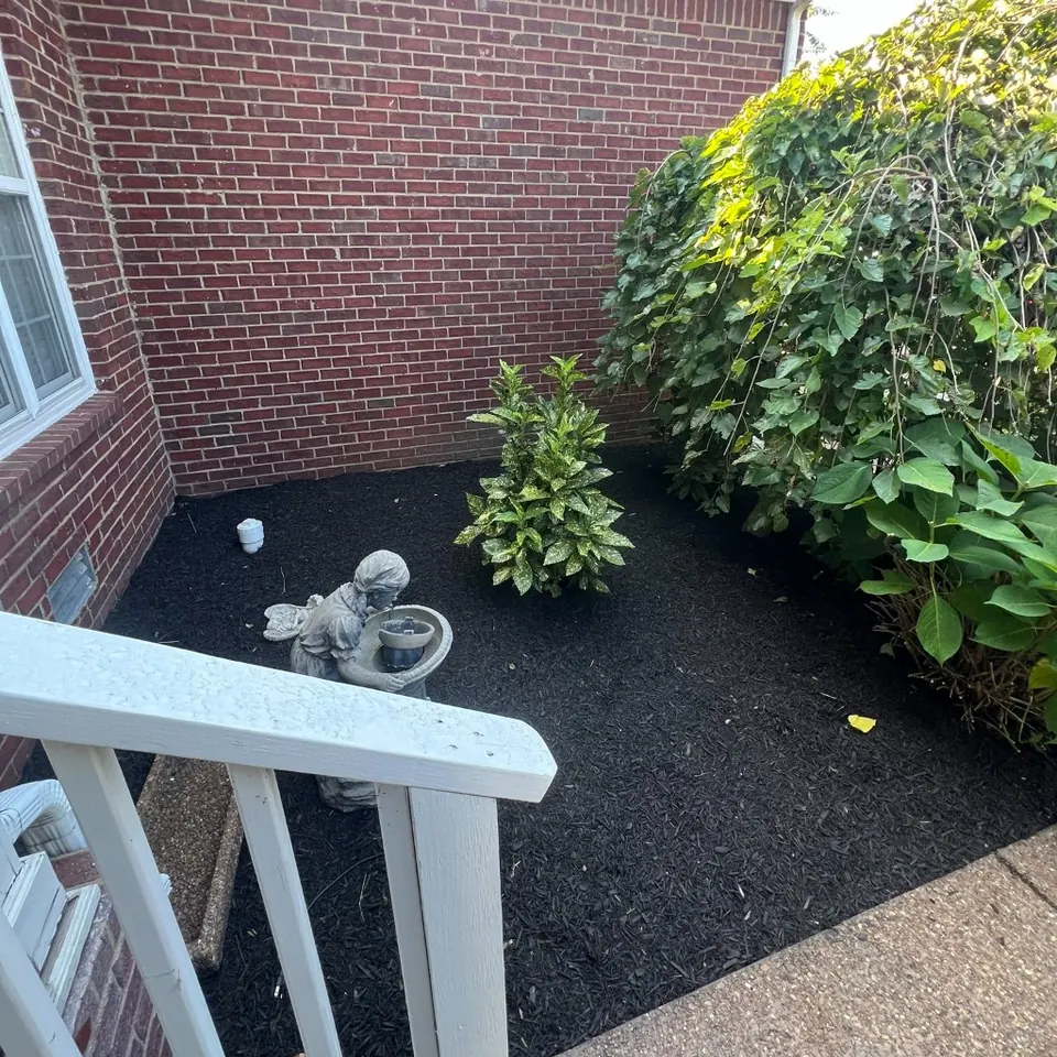 Porch corner bed after weed cleanup and black mulch installation in Thompson's Station, Tennessee
