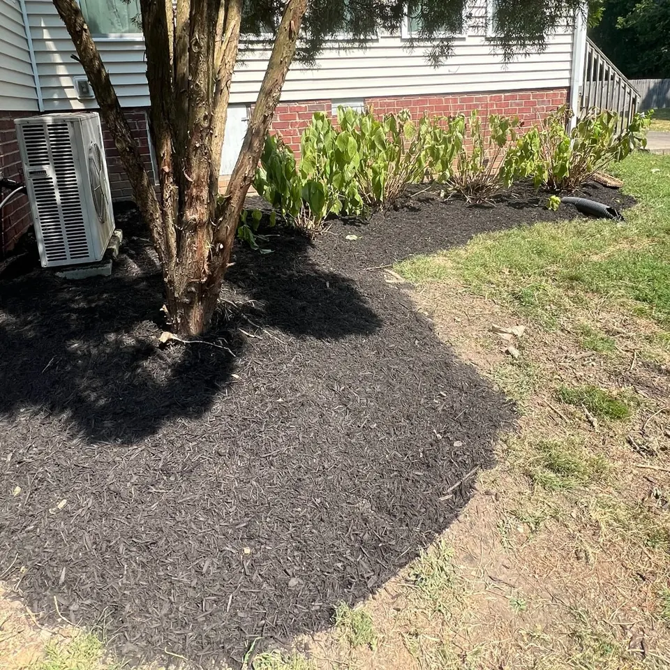 Foundation bed around AC unit cleaned and finished with black mulch in Thompson's Station, Tennessee