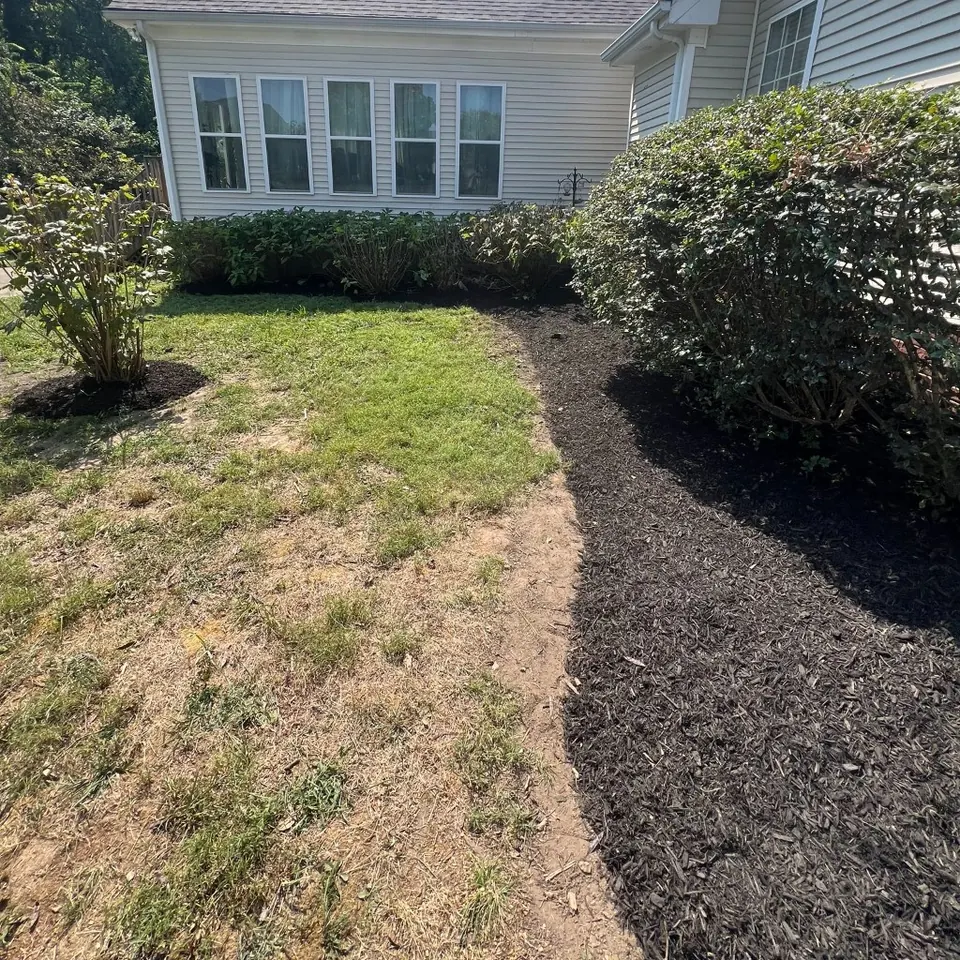 Side-yard foundation bed with crisp edge and fresh black mulch in Thompson's Station
