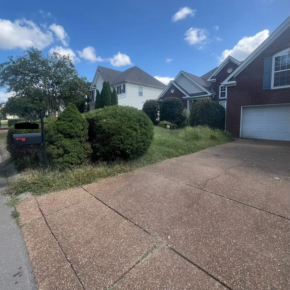 Overgrown mailbox and driveway landscape bed before cleanup in Thompson's Station, Tennessee