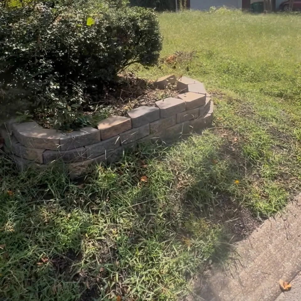 Overgrown landscape bed around existing retaining blocks before cleanup in Thompson's Station, Tennessee