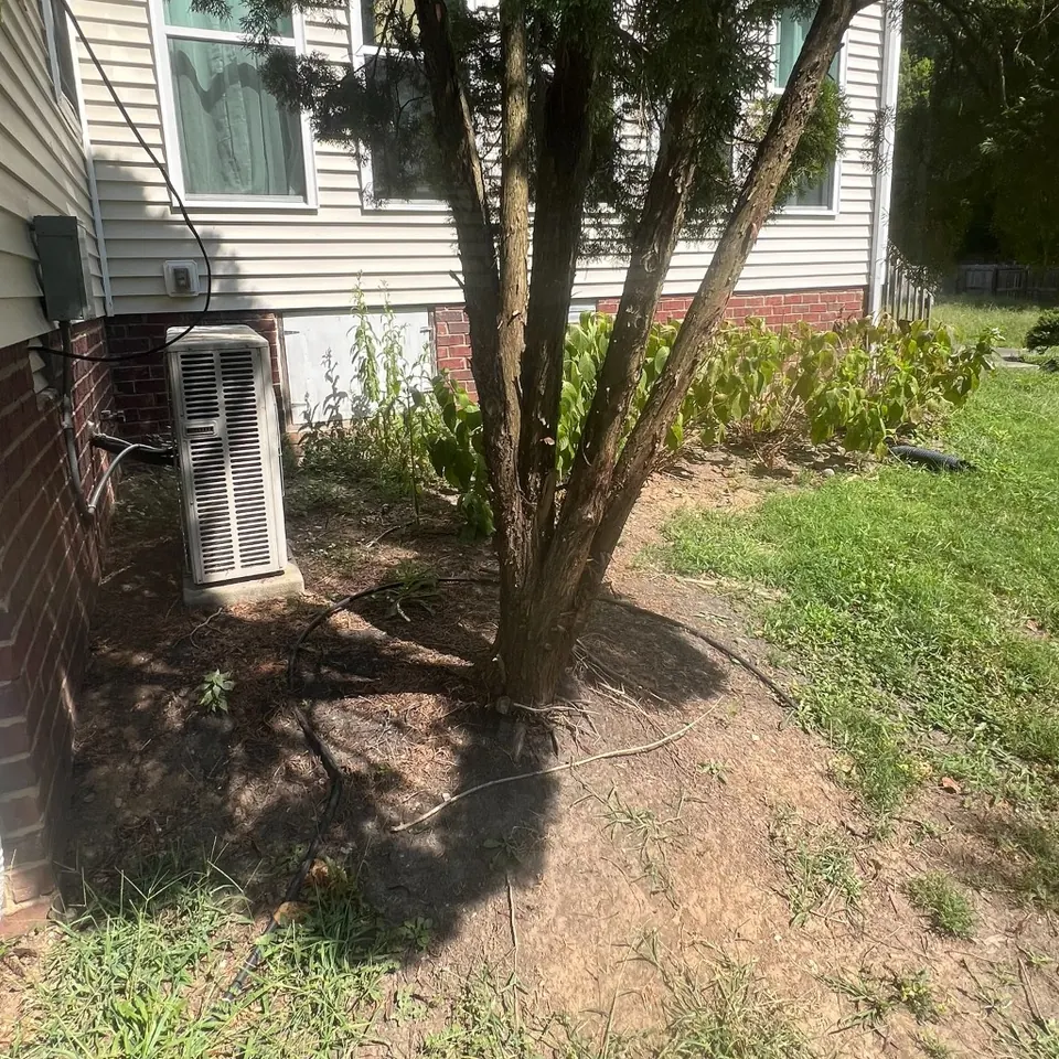 Bare, weedy foundation bed around an AC unit before cleanup in Thompson's Station, Tennessee