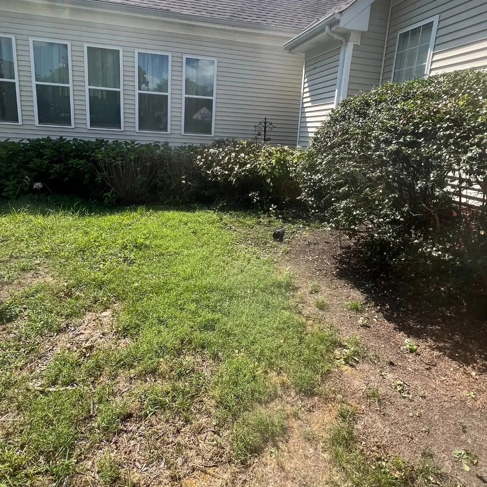 Undefined side-yard foundation bed with weeds before cleanup in Thompson's Station