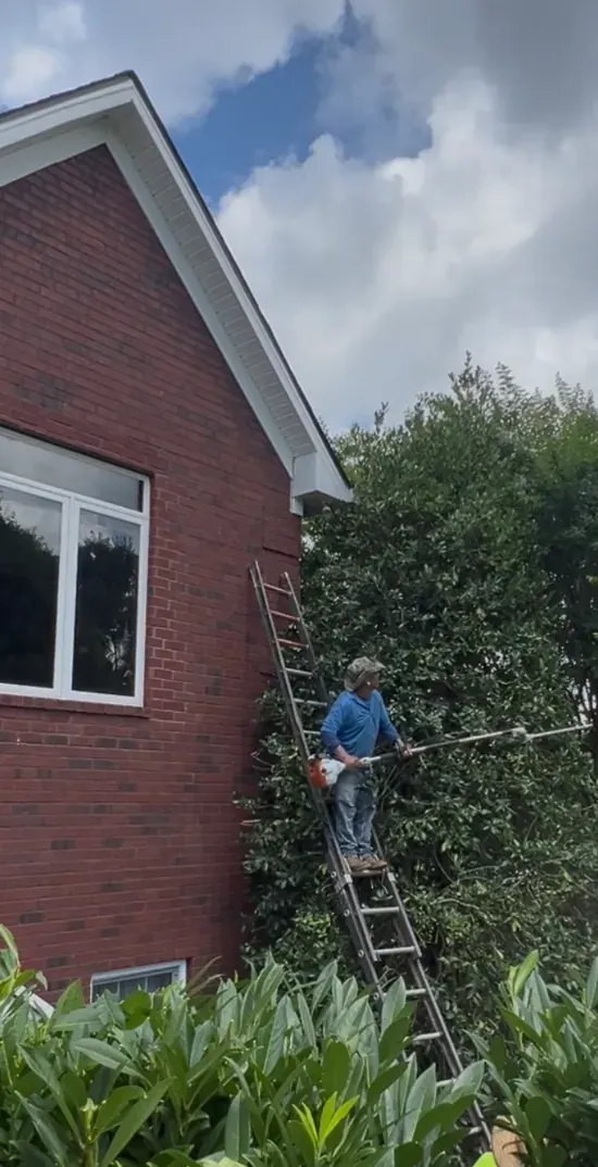 MRX Landscaping crew trimming shrubs on a Spring Hill, Tennessee property